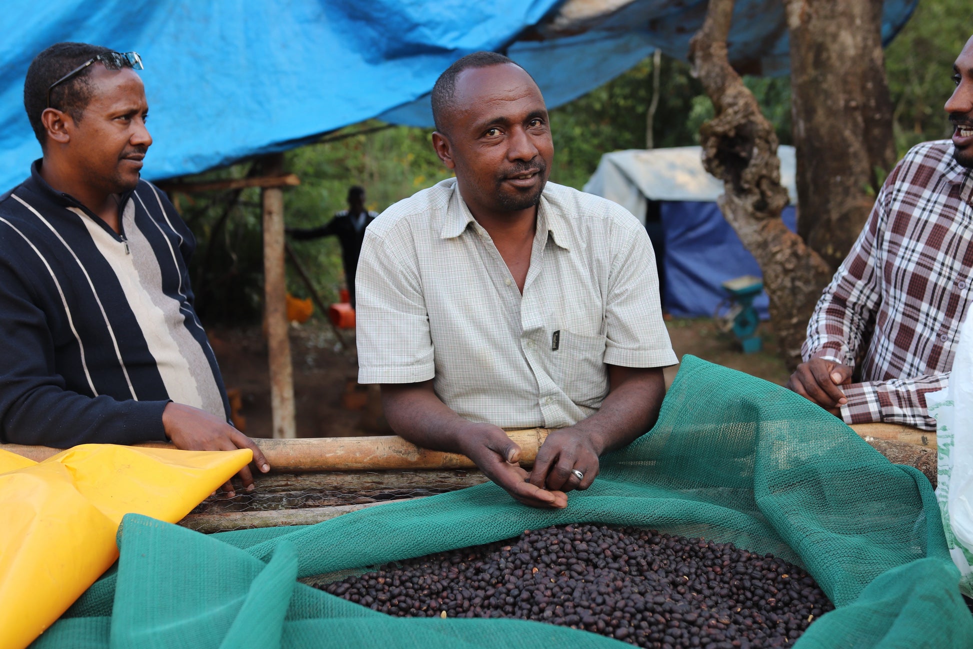 Cafes Muda - Beshasha Ethiopia Filter Coffee Producer