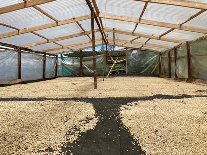 Parcel - COL001 El Pital Specialty Coffee Colombia Drying