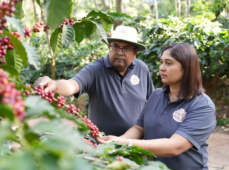  KB Coffee Roasters - Ratnagiri Filter Coffee India Ripe Cherries