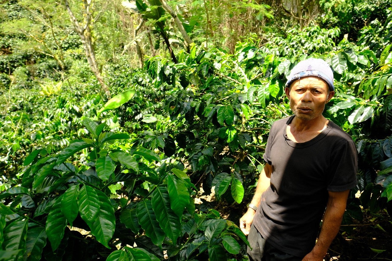 KB Coffee Roasters - Sesongot Winey Filter Coffee Indonesia Farmer