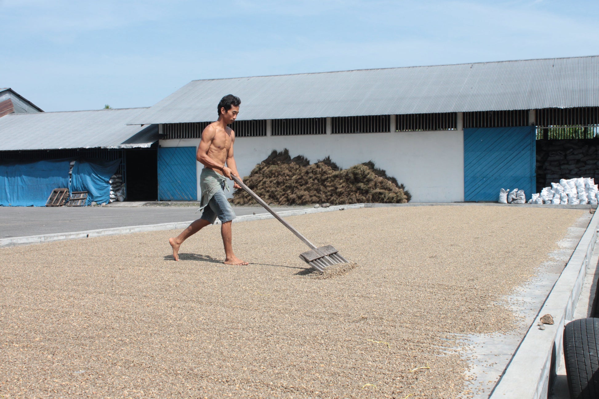 KB Coffee Roasters - Sesongot Winey Filter Coffee Indonesia Drying