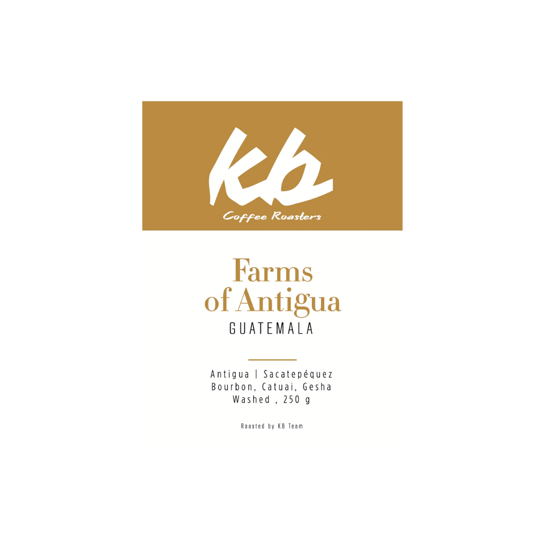 KB Coffee Roasters - Farms of Antigua Espresso Coffee  Guatemala