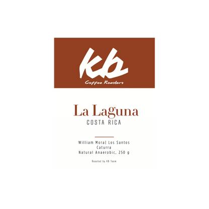 KB Coffee Roasters - La Laguna Filter Coffee Costa Rica