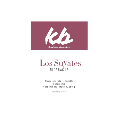 KB Coffee Roasters - Los Suyates Filter Coffee Nicaragua