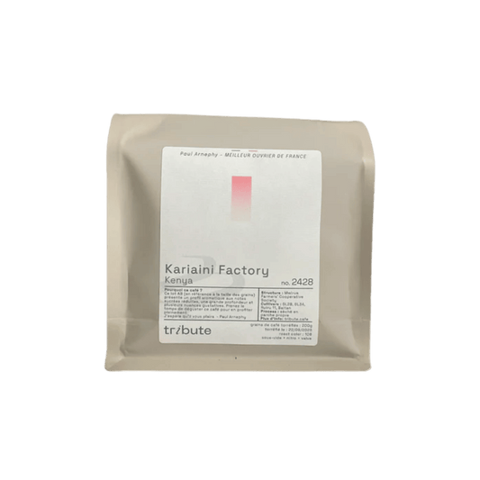 Tribute - Kariaini Factory Filter Coffee Kenya