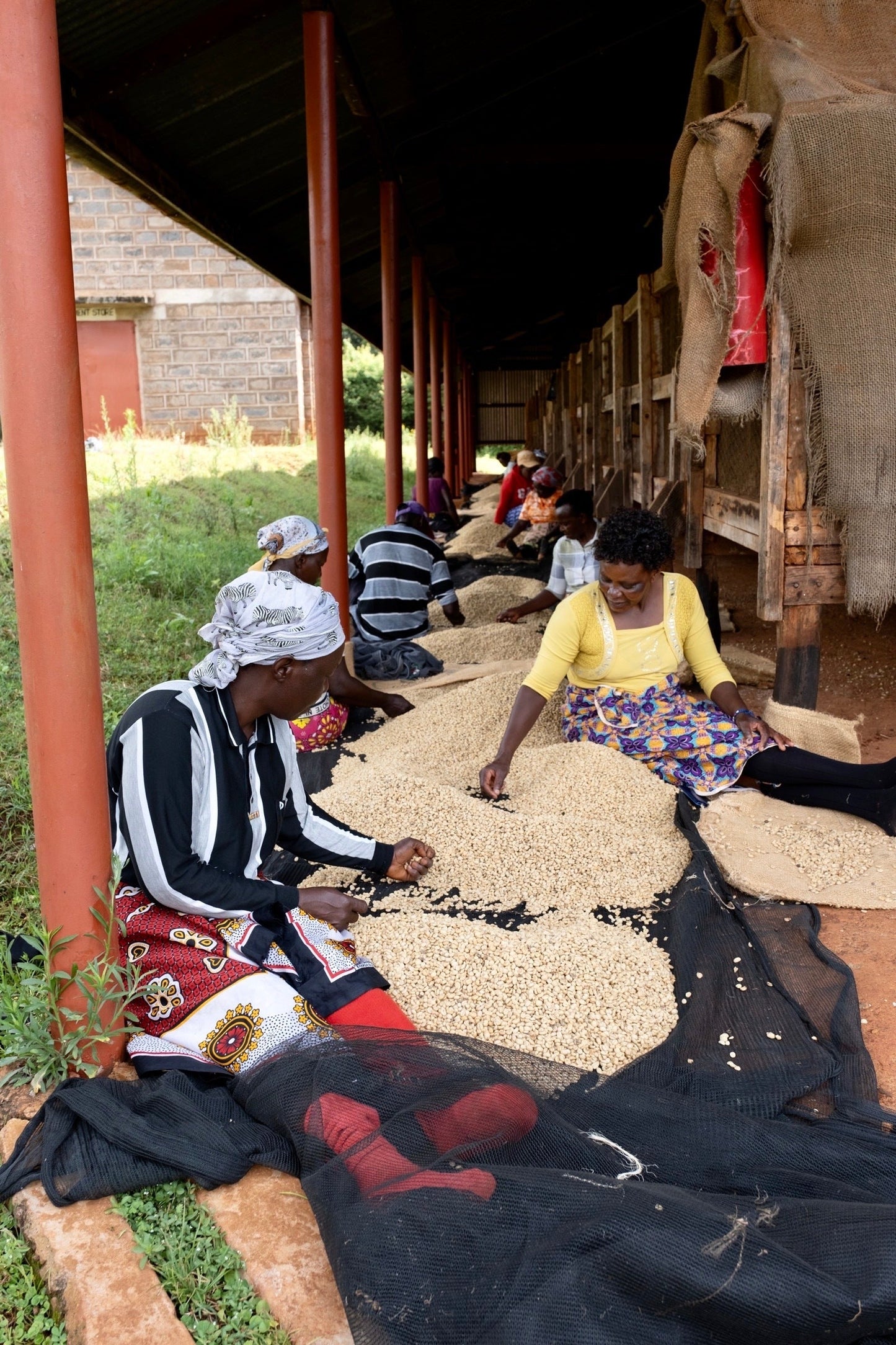 KB Coffee Roasters - Kiawamururu Filter Coffee Kenya Workers