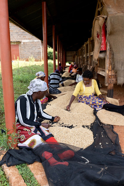 KB Coffee Roasters - Kiawamururu Filter Coffee Kenya Workers