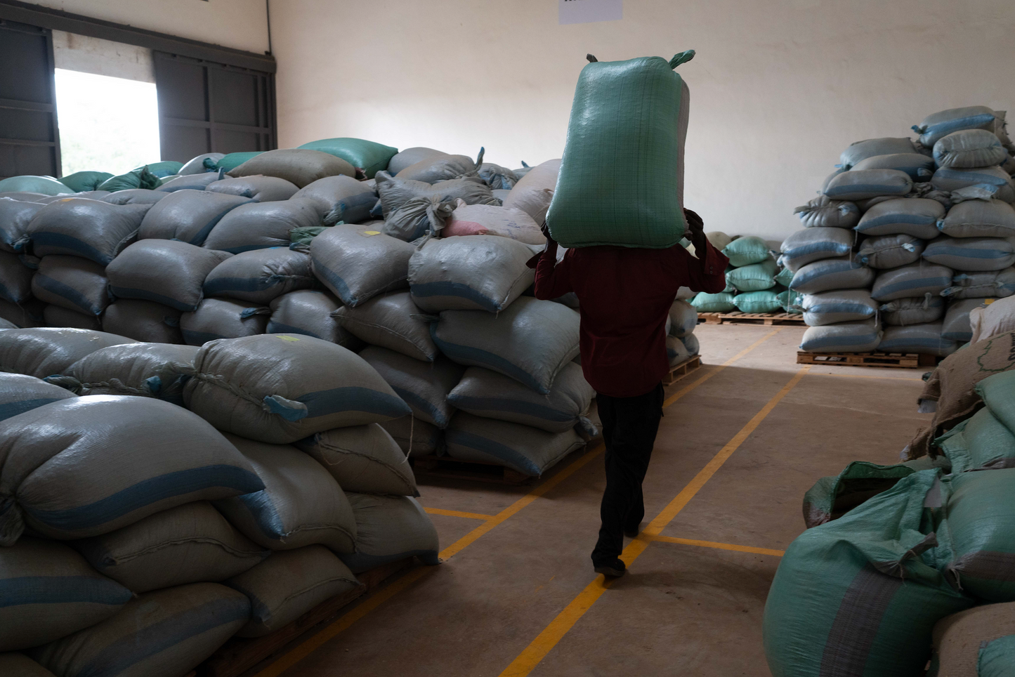 KB Coffee Roasters - Tapkolu Filter Coffee Kenya Export Ready