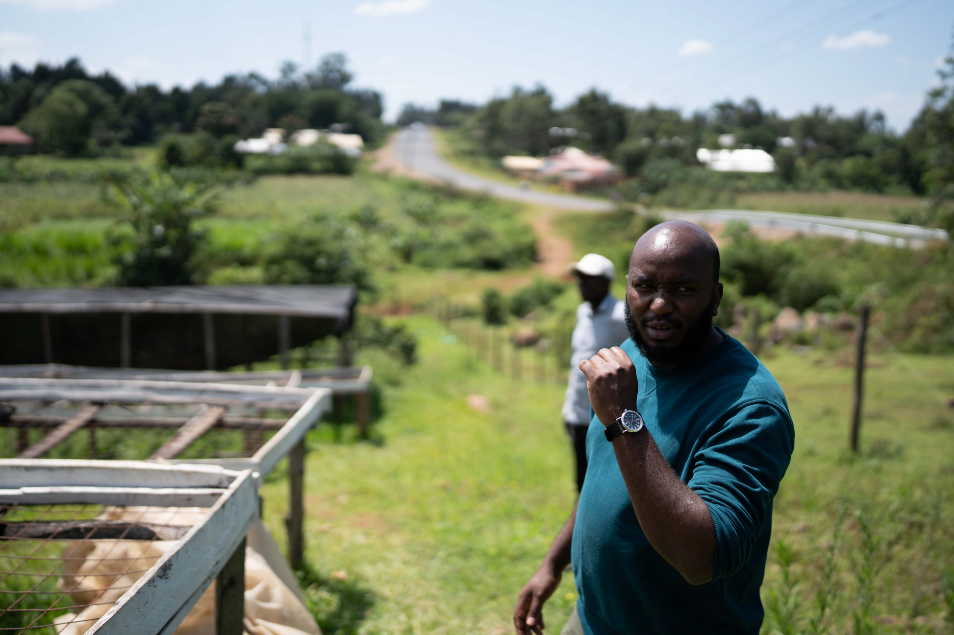 KB Coffee Roasters - Wild Bomba Filter Coffee Kenya Producer