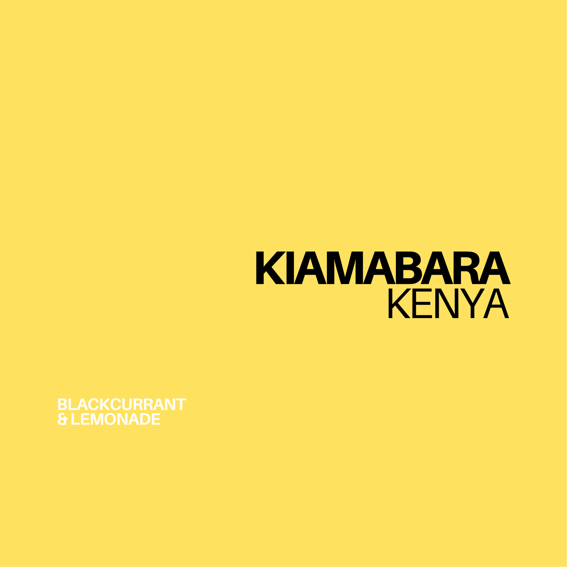 Gust Coffee Roasters - Kiamabara Filter Coffee Kenya Tasting Notes