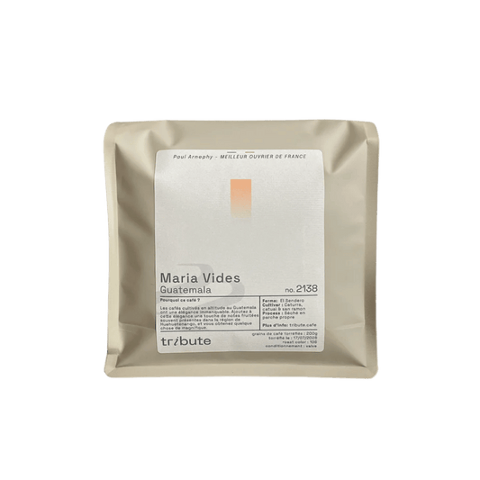 Tribute - Maria Vides Filter Coffee Guatemala