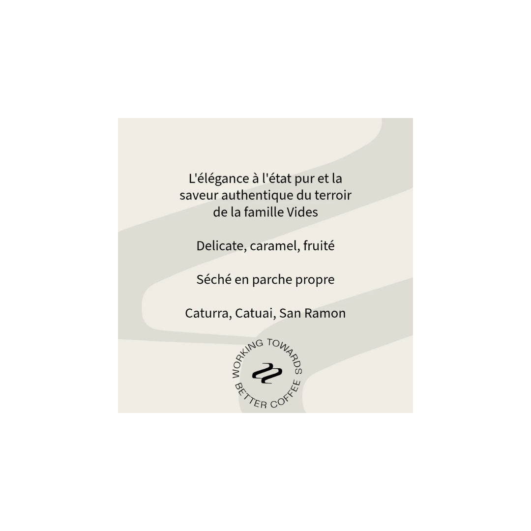 Tribute - Maria Vides Filter Coffee Guatemala Tasting Notes