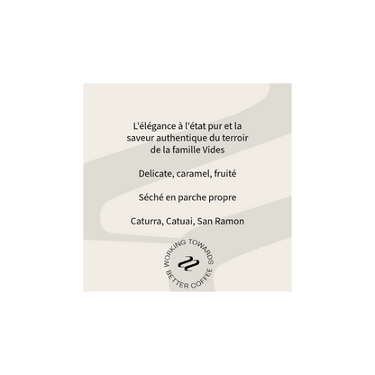 Tribute - Maria Vides Filter Coffee Guatemala Tasting Notes