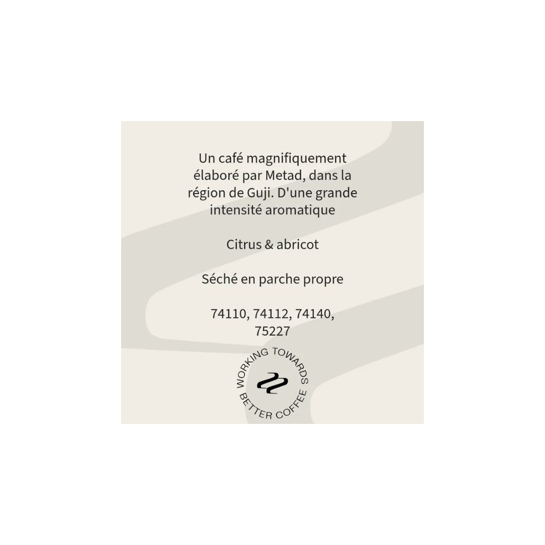 Tribute - Metad Filter Coffee Ethiopia Tasting Notes