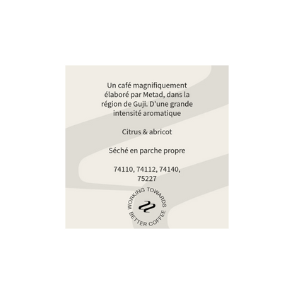 Tribute - Metad Filter Coffee Ethiopia Tasting Notes
