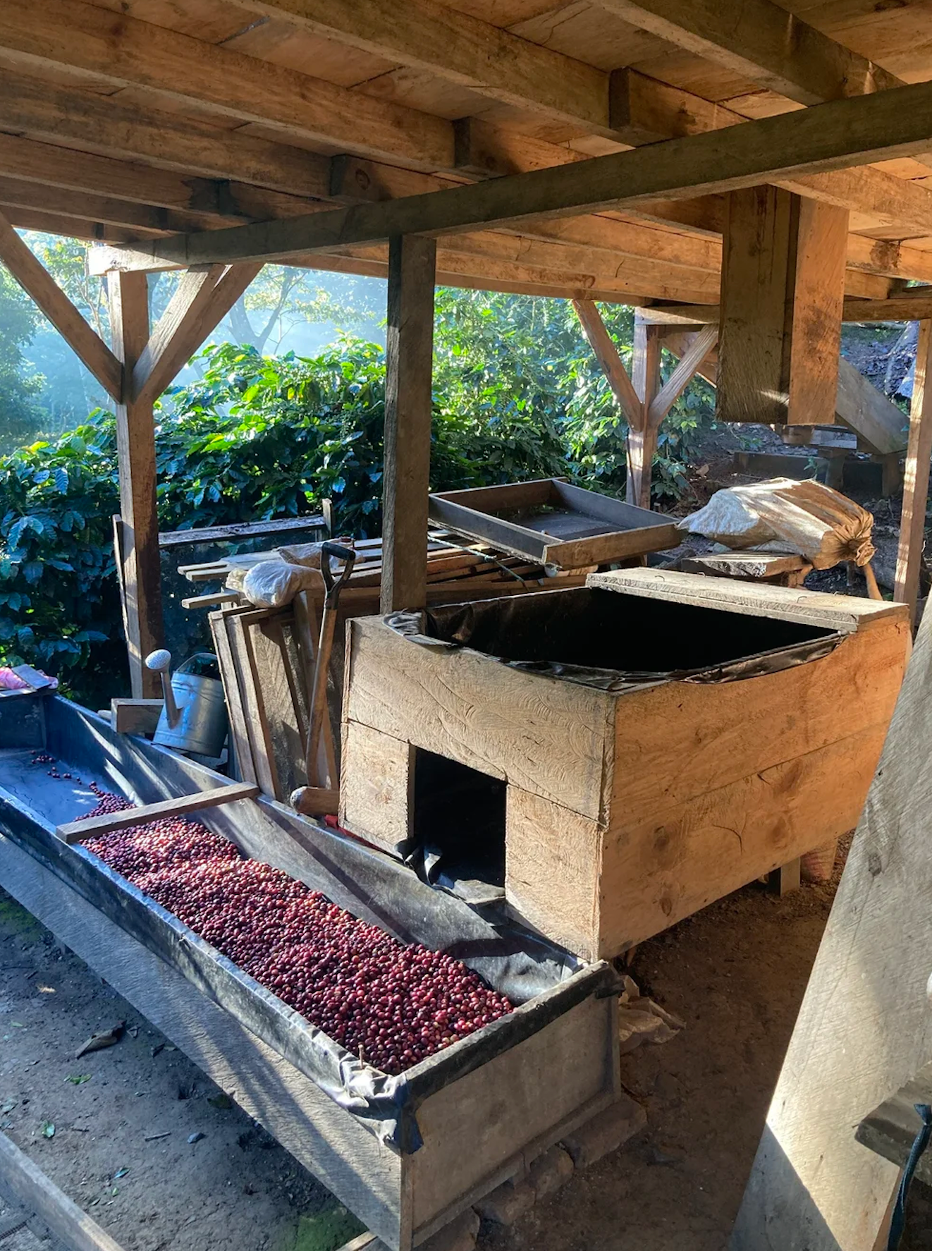 KB Coffee Roasters - El Hormiguero Filter Coffee Nicaragua Processing