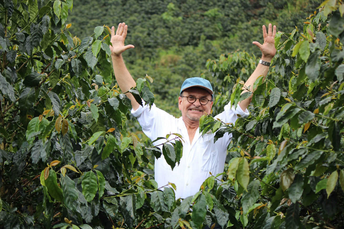 KB Coffee Roasters - Los Placeres Filter Coffee Nicaragua Producer