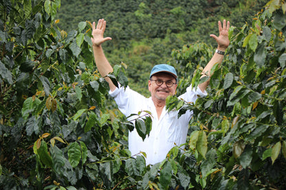 KB Coffee Roasters - Los Placeres Filter Coffee Nicaragua Producer