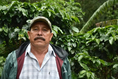 KB Coffee Roasters - Los Suyates Filter Coffee Nicaragua Farmer