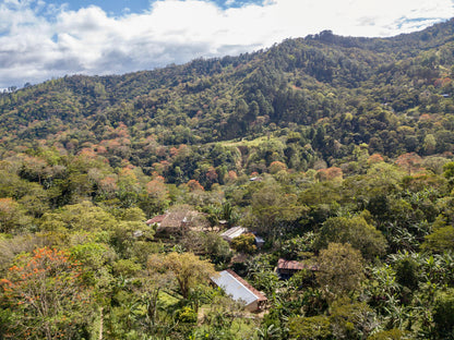 KB Coffee Roasters - Supernatural Filter Coffee Nicaragua Farm