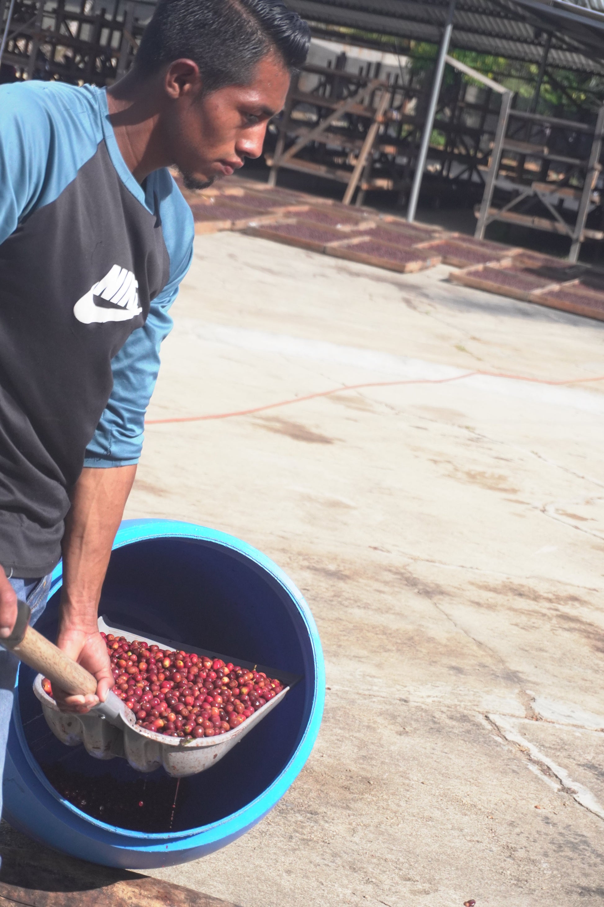 KB Coffee Roasters - Supernatural Filter Coffee Nicaragua Processing