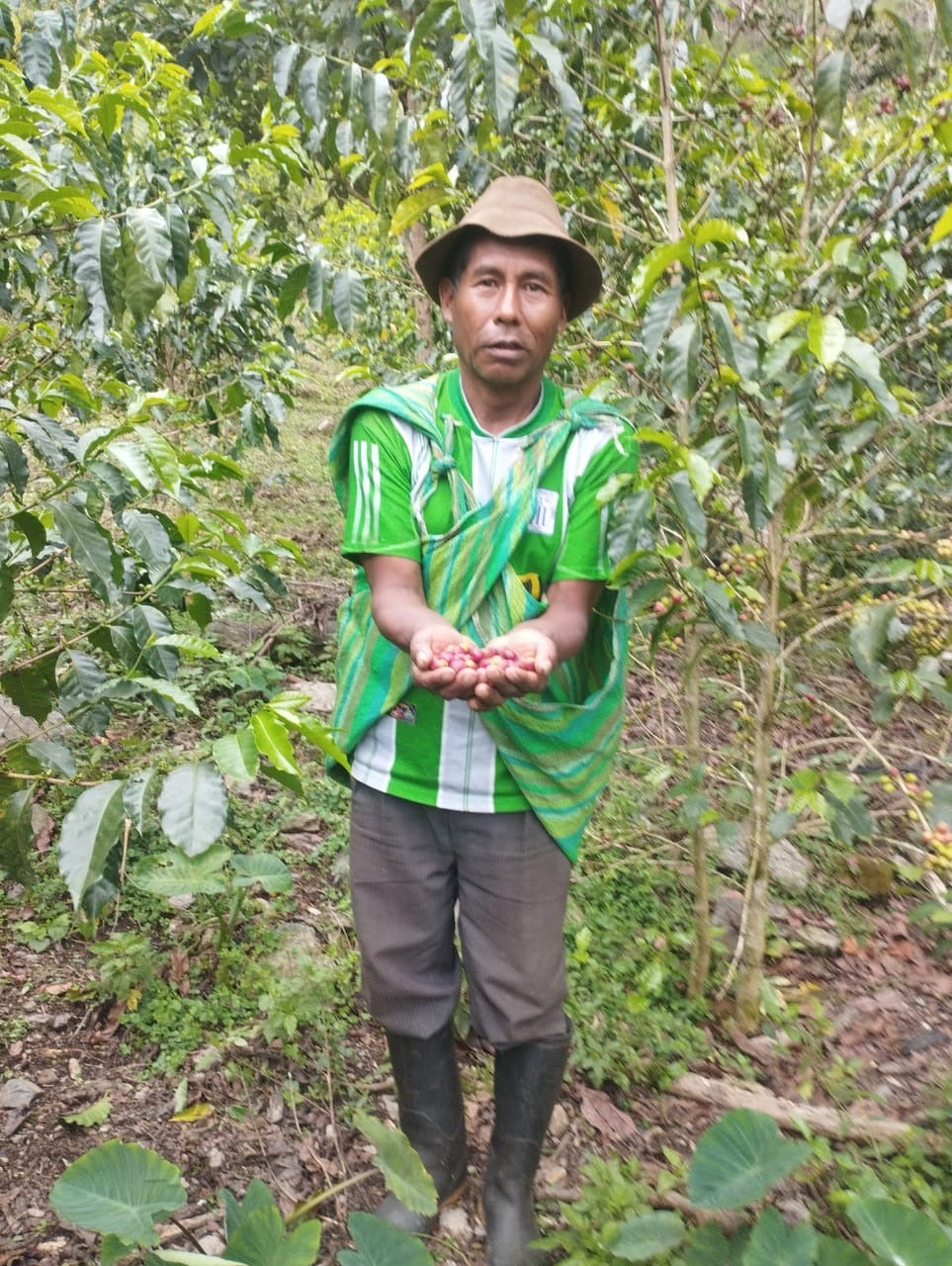 KB Coffee Roasters - Finca Ayapirayoc Geisha Filter Coffee Peru Producer
