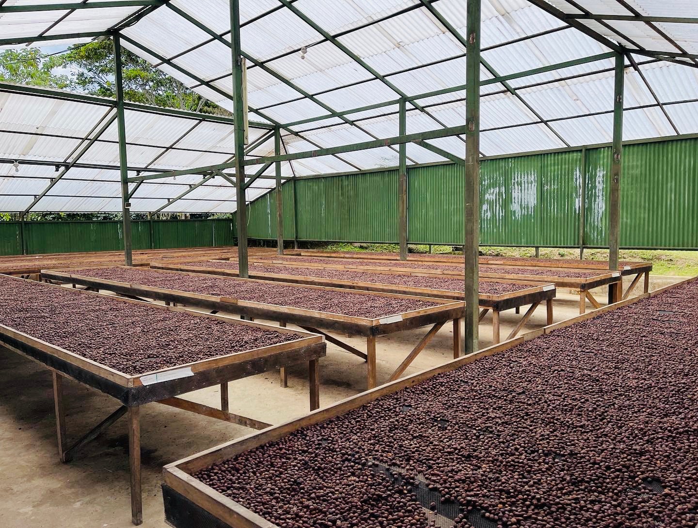 KB Coffee Roasters - Vituya Espresso Coffee Peru  Processing