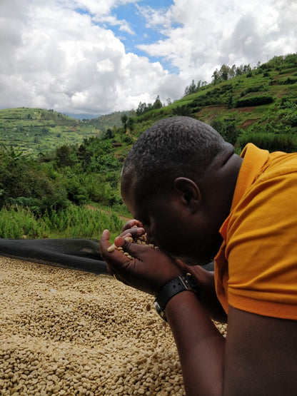 KB Coffee Roasters - Muzo Espresso Coffee Rwanda Producer