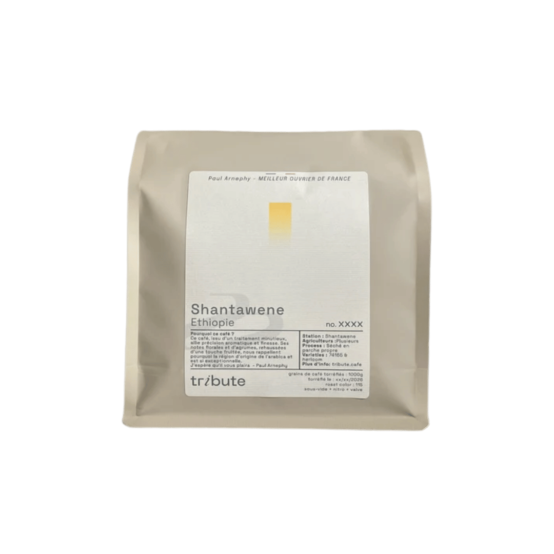 Tribute - Shantawene Specialty Coffee Ethiopia