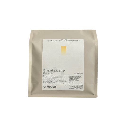 Tribute - Shantawene Specialty Coffee Ethiopia