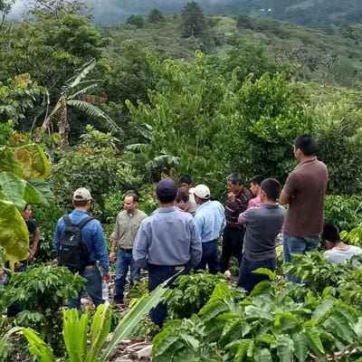 Gust Coffee Roasters - Cipres Espresso Coffee Mexico Farm