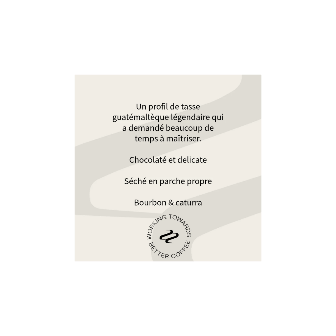 Tribute - Family Vides Specialty Coffee Guatemala Tasting Notes