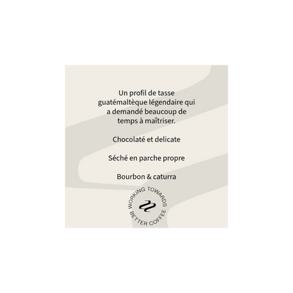 Tribute - Family Vides Specialty Coffee Guatemala Tasting Notes