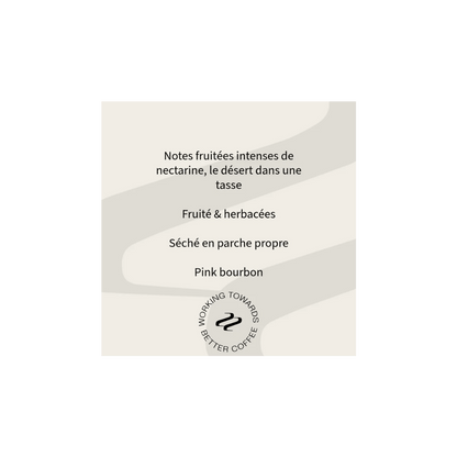 Tribute - Bolney and Adele Reinoso Pink Bourbon Light Roasted Coffee Colombia Tasting Notes