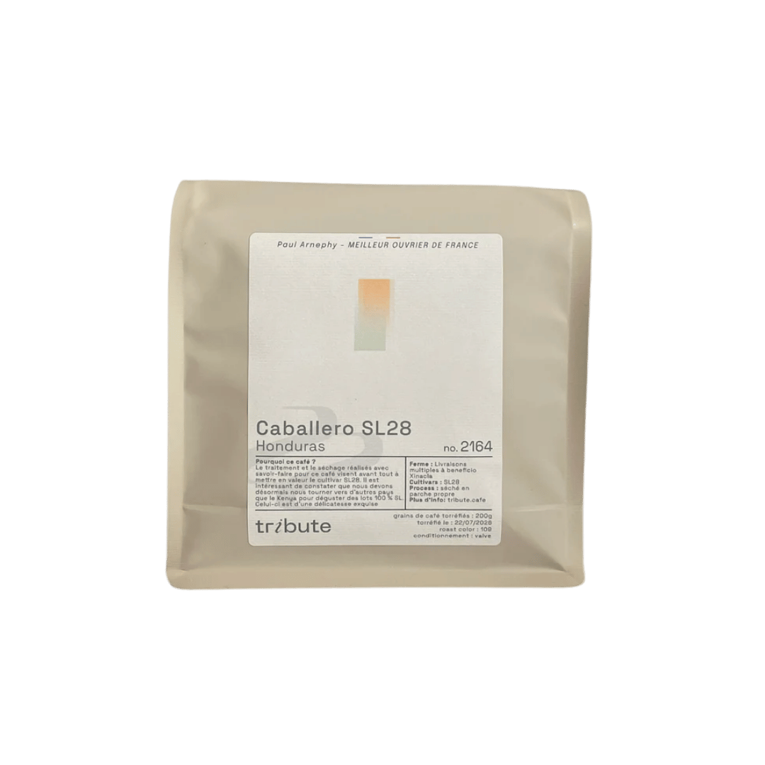 Tribute - Caballero SL28 Filter Coffee Honduras