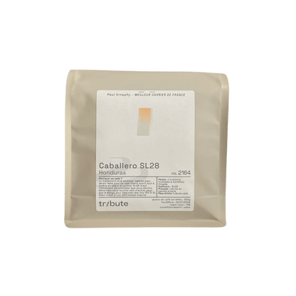 Tribute - Caballero SL28 Filter Coffee Honduras