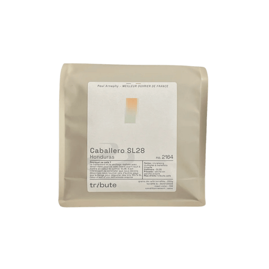 Tribute - Caballero SL28 Filter Coffee Honduras