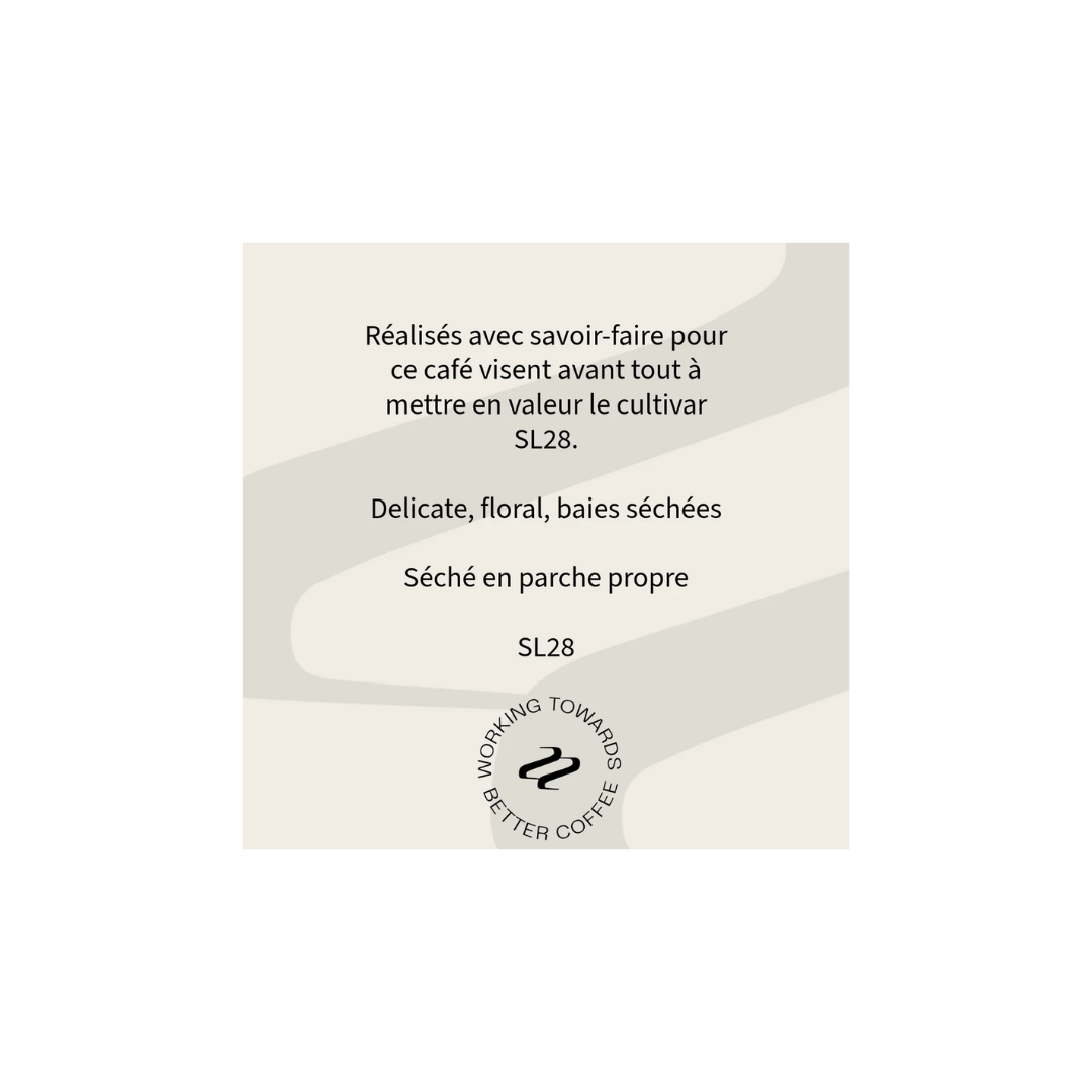 Tribute - Caballero SL28 Filter Coffee Honduras Tasting Notes