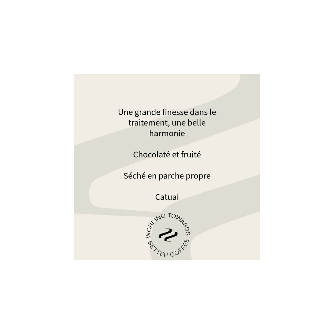 Tribute - Caballero and Herrera Espresso Coffee Honduras Tasting Notes