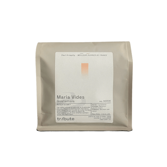 Tribute - Maria Vides Filter Coffee Guatemala