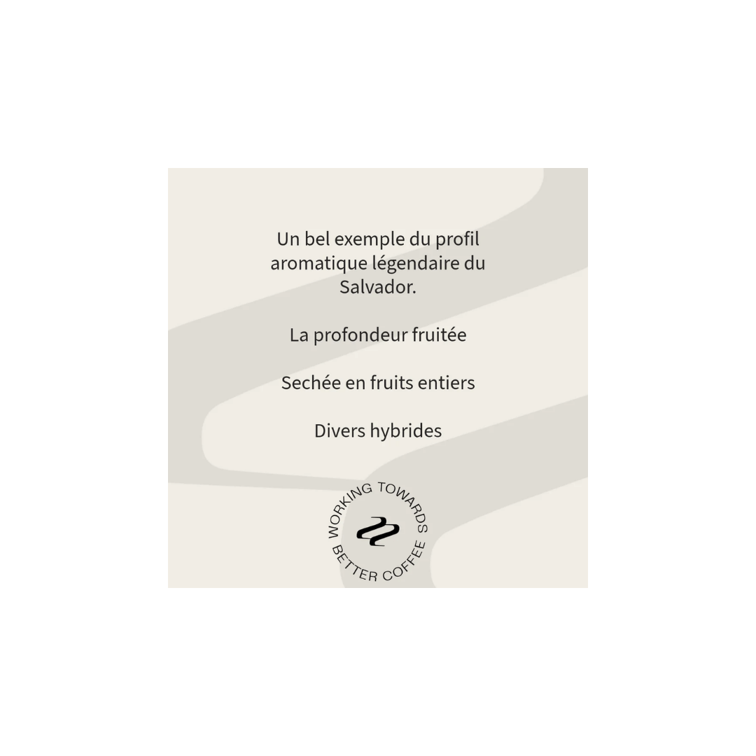 Tribute - Rodolfo Ruffatti Espresso Coffee El Salvador Tasting Notes
