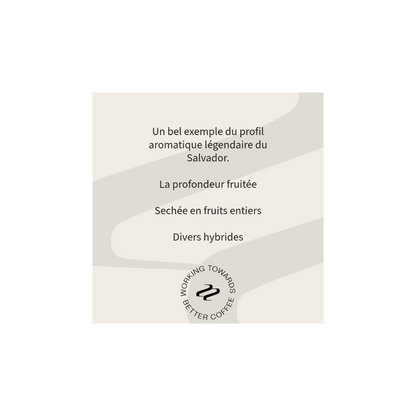 Tribute - Rodolfo Ruffatti Espresso Coffee El Salvador Tasting Notes