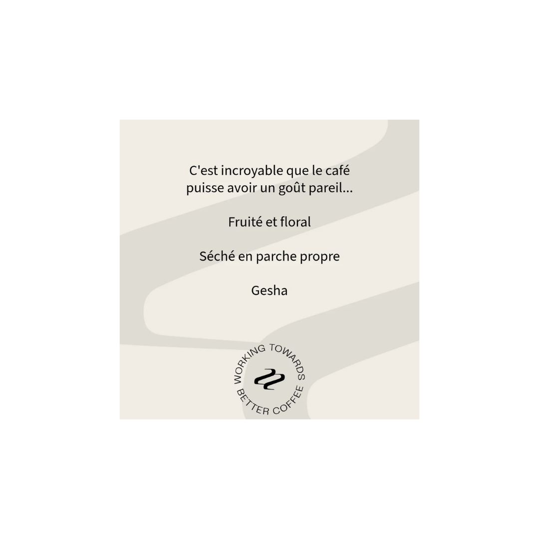 Tribute - Rojas and Requejo Specialty Coffee Peru Tasting Notes