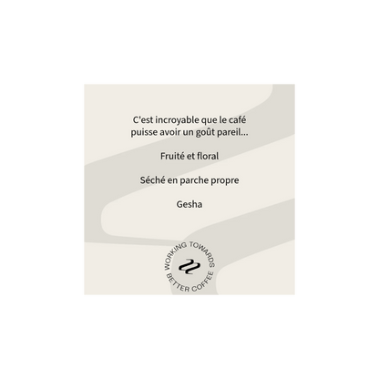 Tribute - Rojas and Requejo Specialty Coffee Peru Tasting Notes