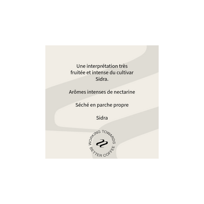 Tribute - Romo and Morales Specialty Coffee Ecuador Tasting Notes