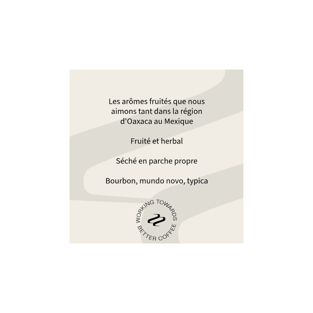 Tribute - San Juan de la Union Filter Coffee - Mexico Tasting Notes