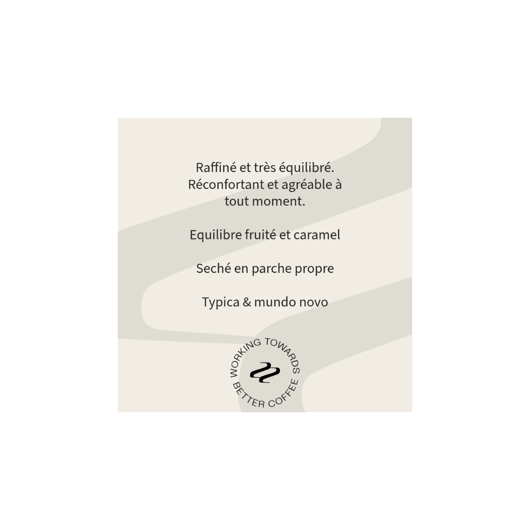 Tribute - Sierra Juarez Filter Coffee Mexico Tasting Notes