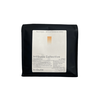 Tribute - Intibuca Collective Espresso Coffee Honduras