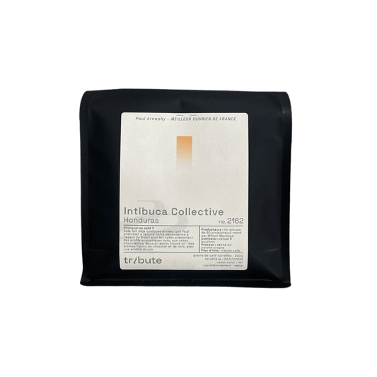 Tribute - Intibuca Collective Espresso Coffee Honduras