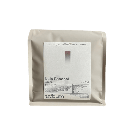 Tribute - Luis Pascoal Brazil Specialty Coffee